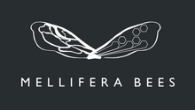 Mellifera Bees
