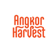 angkor harvest
